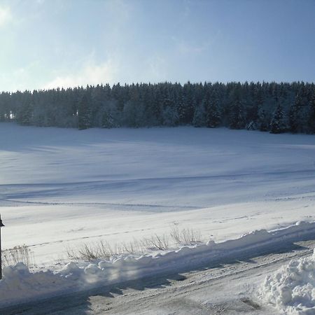 Apartment Sonnenschein Braunlage Luaran gambar